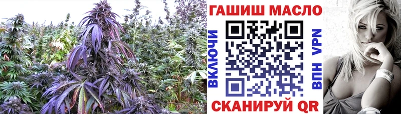 Купить где  Хадыженск  Дистиллят ТГК концентрат 