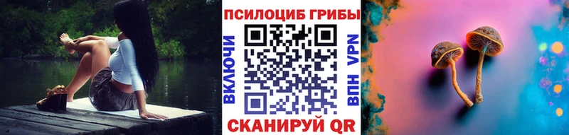 Псилоцибиновые грибы MAGIC MUSHROOMS  Купить закладки  Хадыженск 
